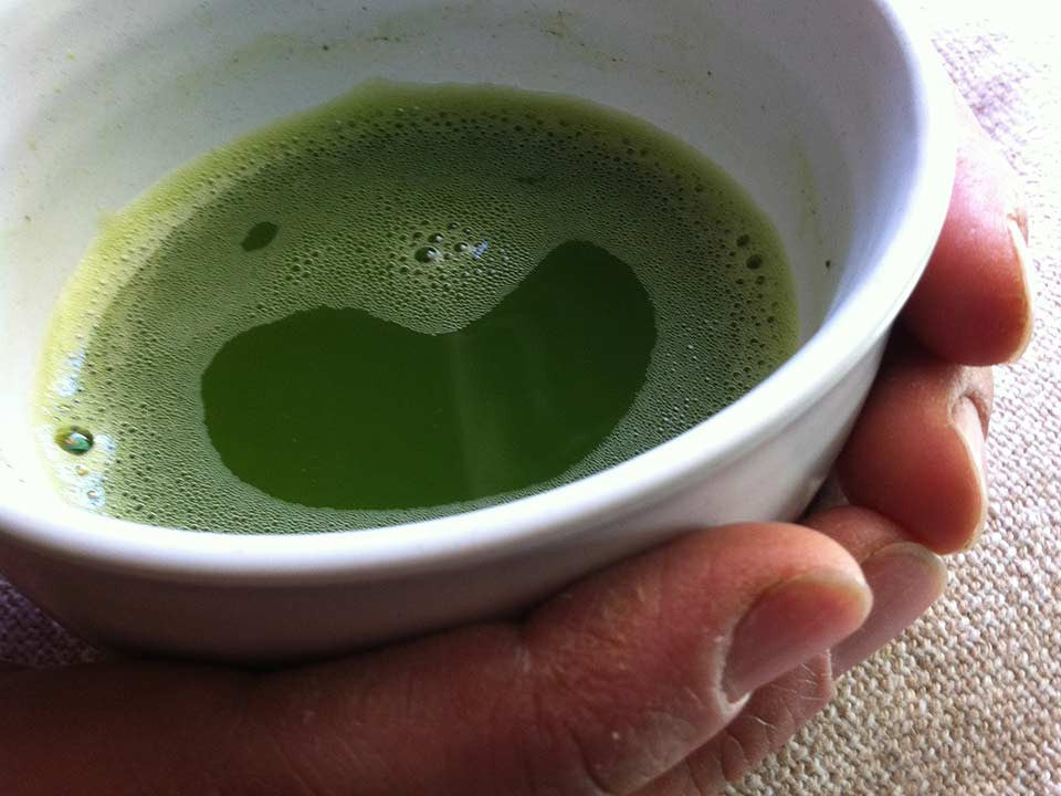 What is Matcha Green Tea