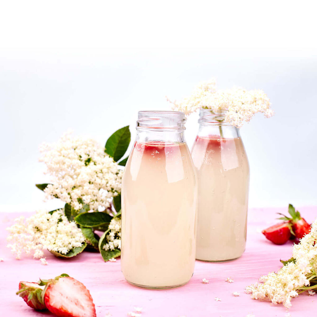 DIY Guide to Kombucha