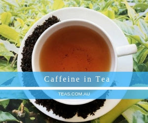 Caffeine in Tea