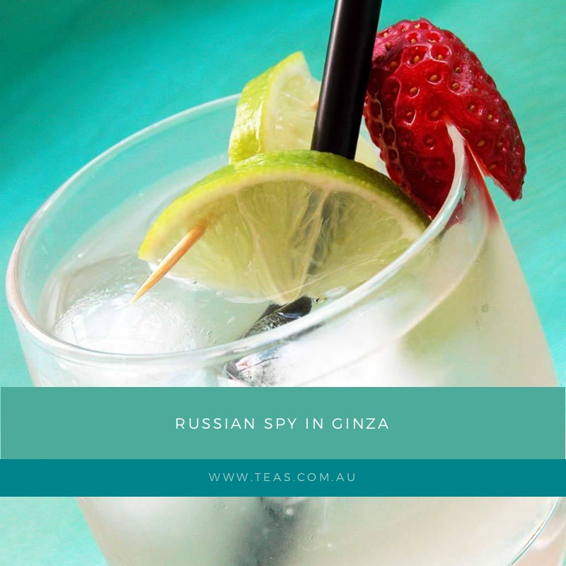 Russian Spy in Ginza