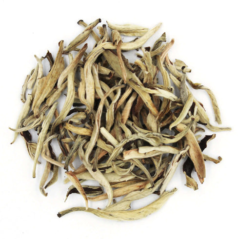 White Pu-erh Bud